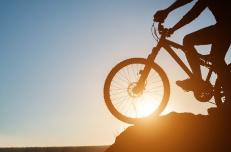 Mountain bike or road bike? Which one to choose