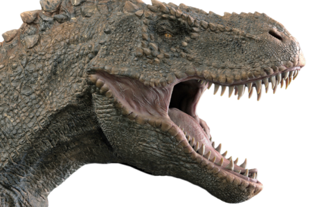 You should be happy these ancient animals are no more present on our planet