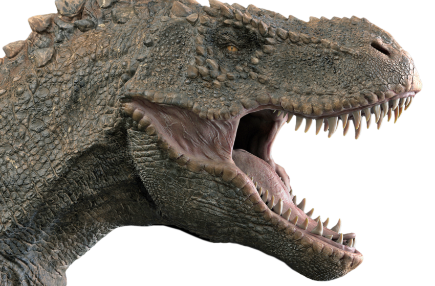 You should be happy these ancient animals are no more present on our planet